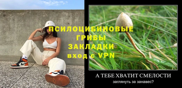 крисы Балахна