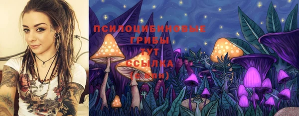крисы Балахна