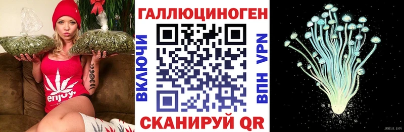 Псилоцибиновые грибы Magic Shrooms  Красный Кут 